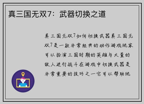 真三国无双7：武器切换之道